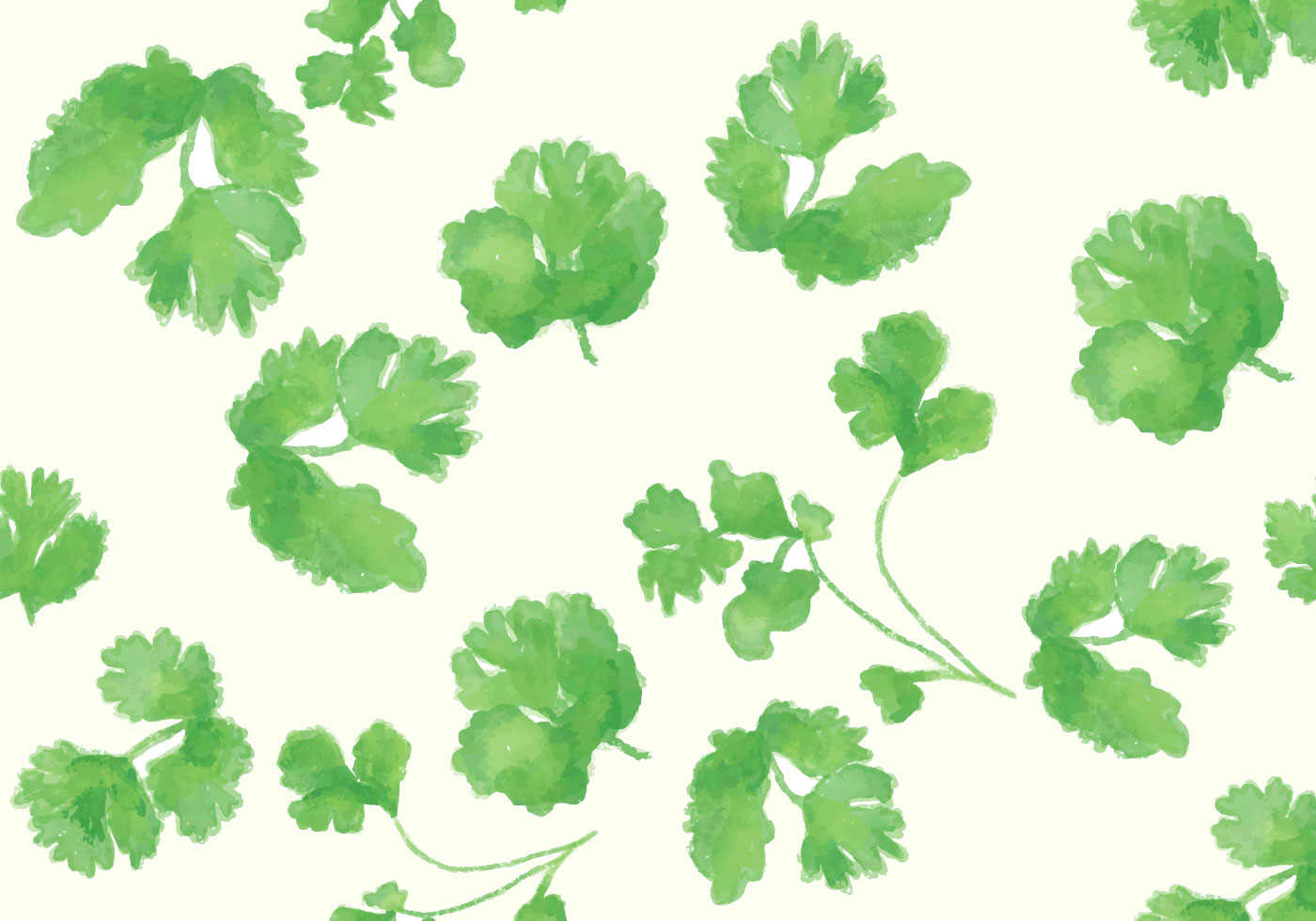 Cilantro Vector Set Download Free Vector Art, Stock Graphics & Images