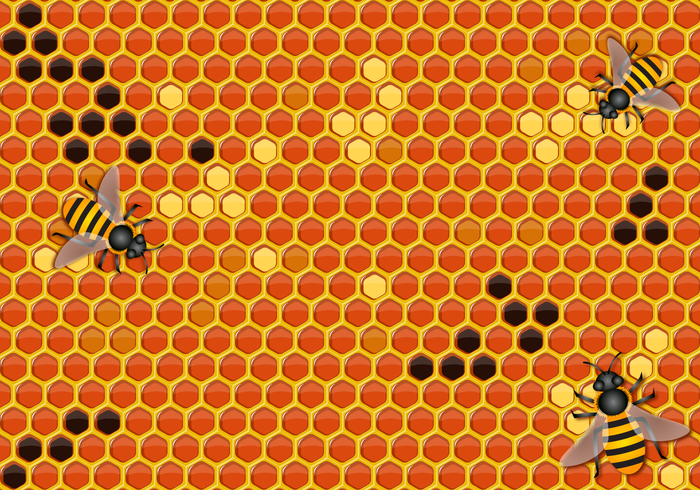 Honey Background Vector