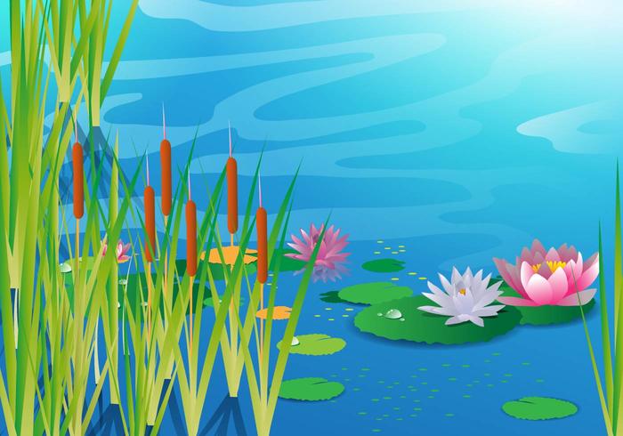 Lago con Cattails Vector