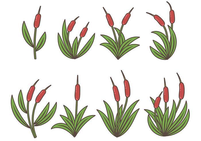 cattails vector icon colorful swamp illustration vecteezy edit icons