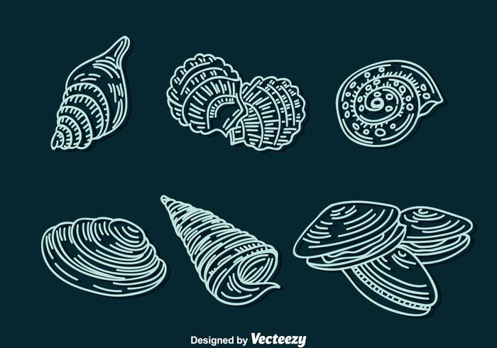 Shell Line Icons Vector