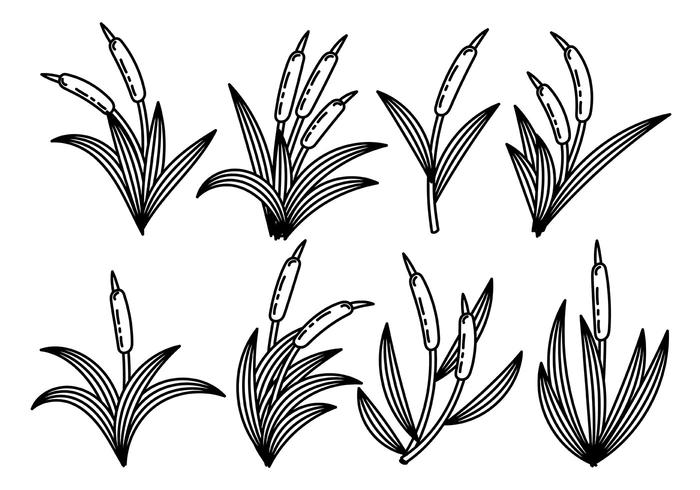 Black and White Cattails Icon Vector