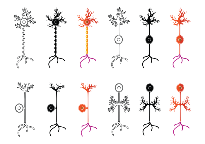 Conjunto De Neuron Vector