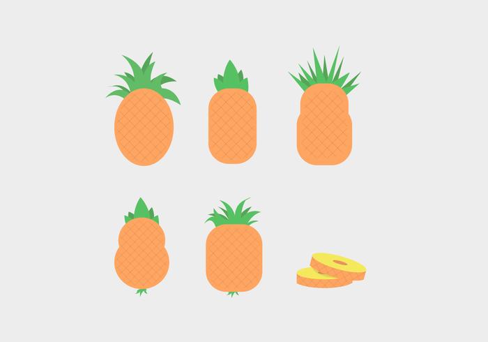 Ananas Vector