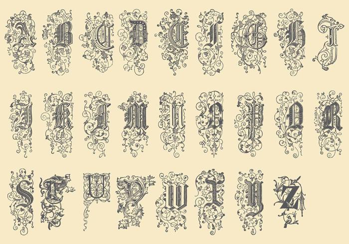 Ornamental Type vector