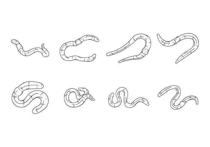 Free Hand Drawing Earthworm Vector