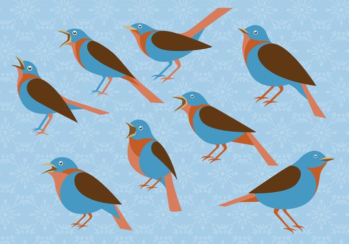 Nightingale Flat Illustration Set Nightingale Flat Illustration Set