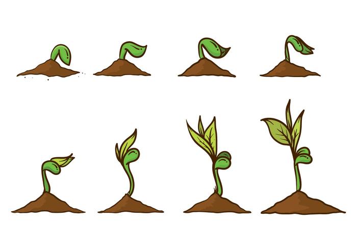 Grow Up Plant Vector