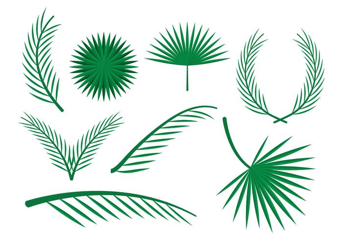 Free Palm Leaves Vector Ornaments Free Palm Leaves Vector Ornaments