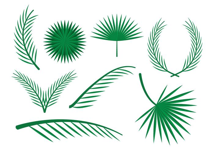 Free Palm Leaves Vector Ornaments