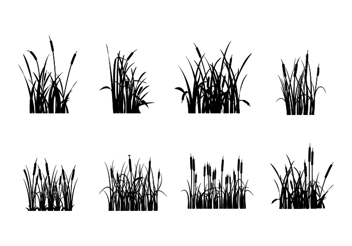 Cattails Silueta Vectores Gratis