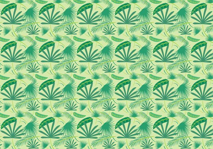 Free Palm Leaf Vector Free Palm Leaf Vector