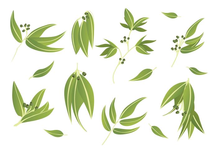 Free Eucalyptus Icons vector