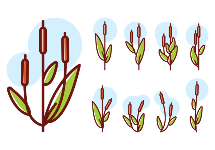 Cattails icons Vector