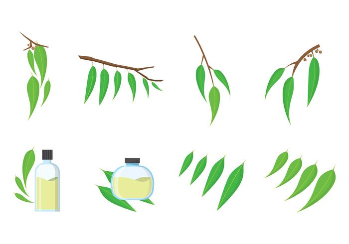 Free Eucalyptus Vector