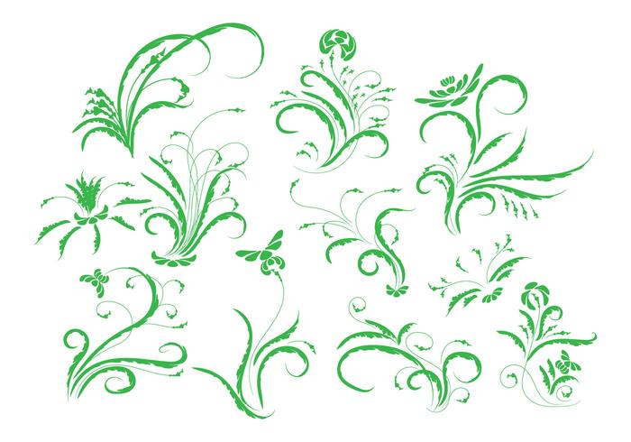 Libre de cosecha floral ornamento vector