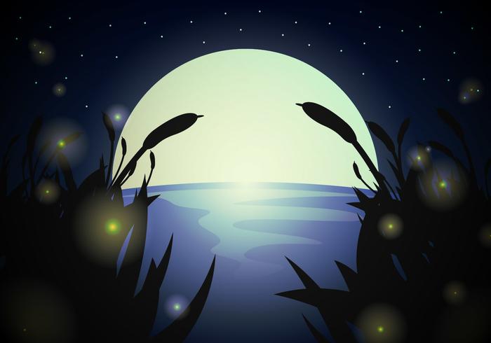 Firefly Landscape Night Vector