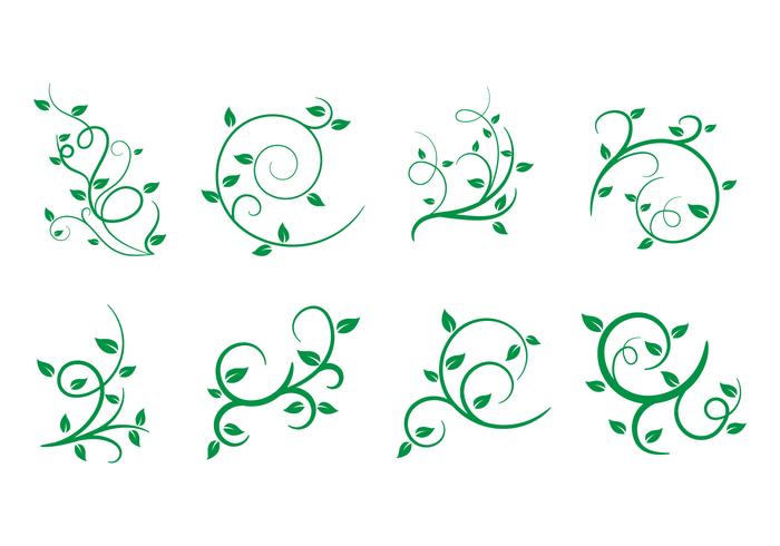 Free Liana, Leaves, Vector Illustration Free Liana, Leaves, Vector Illustration