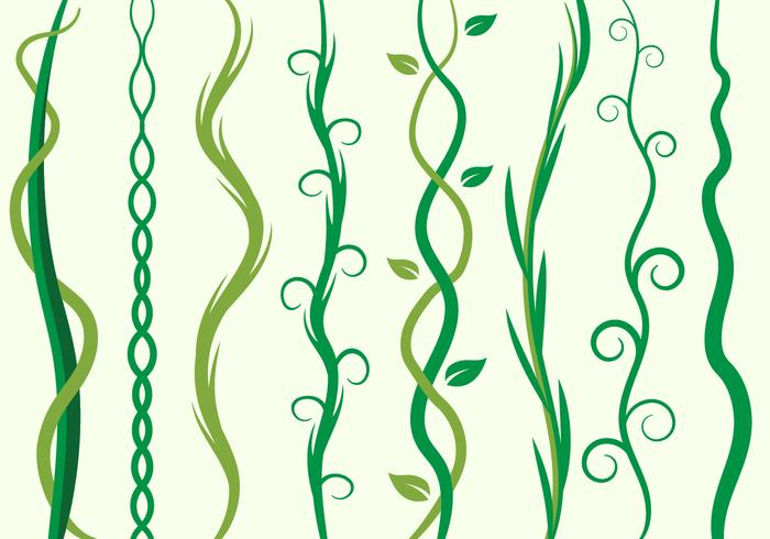 Free Green Liana, Curve Element Vector Illustration Free Green Liana, Curve Element Vector Illustration