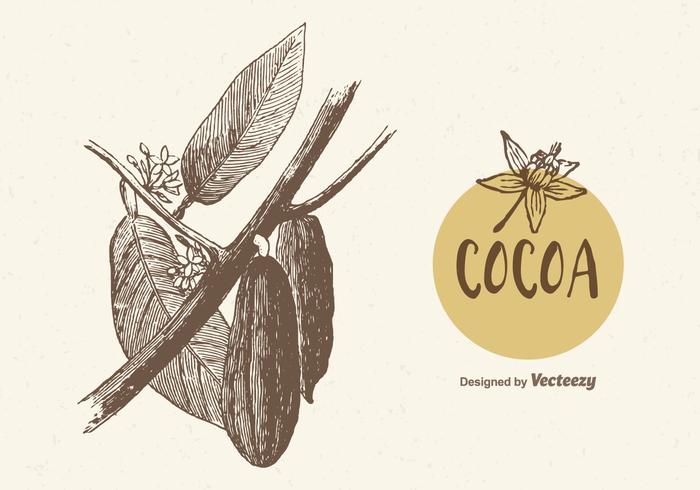 Cacao libre rama ilustración vectorial vector