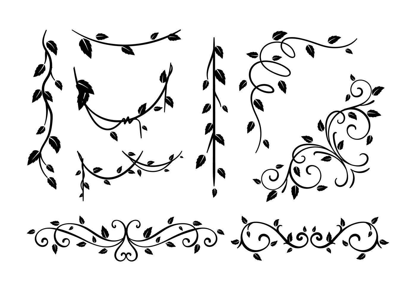 Browse 980 incredible Vine Black And White vectors, icons, clipart graphics...