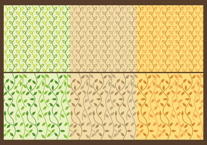 Liana Patterns vector