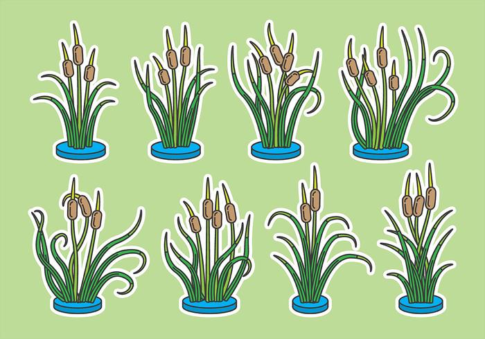 Cattails Vector Icons Cattails Vector Icons
