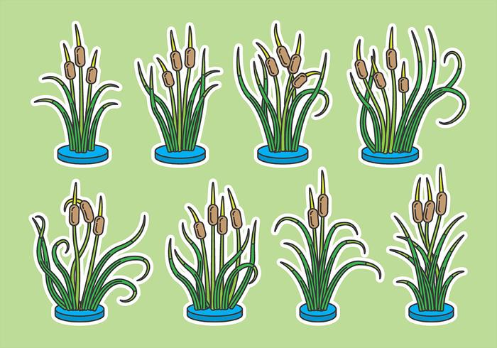 Cattails Vector Iconos