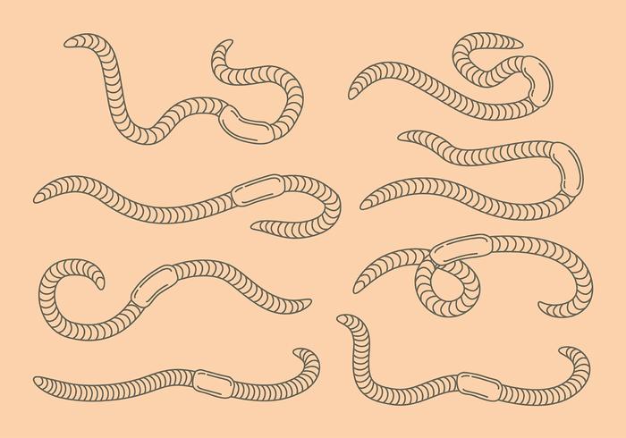 Earthworm icons vector