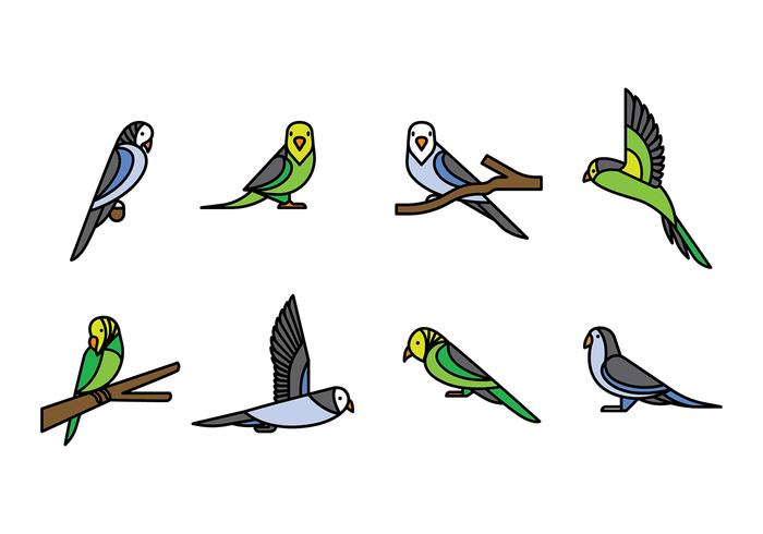 Budgie Vector Icons 