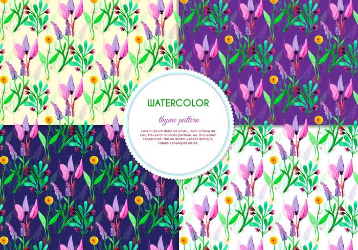 Purple Flower and Thyme Vector Patterns