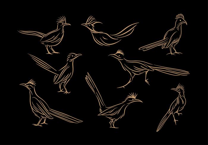 Roadrunner Línea De Arte Vectorial vector