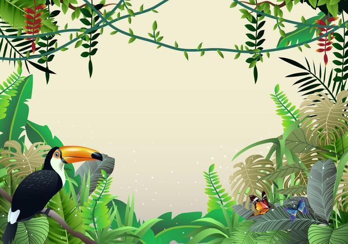 Beautiful Illustrations Of Tropical Jungle And Liana vector