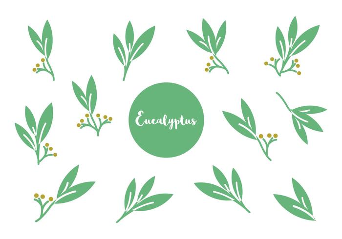 Free Eucalyptus Icon Vector