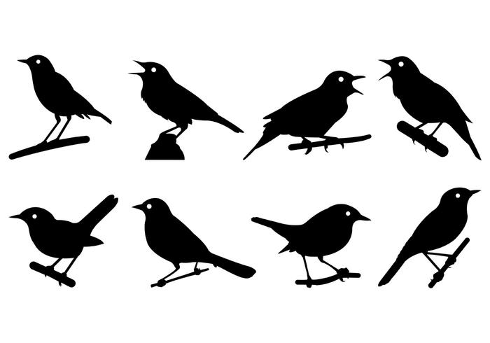 Nightingale Silhouettes Vector