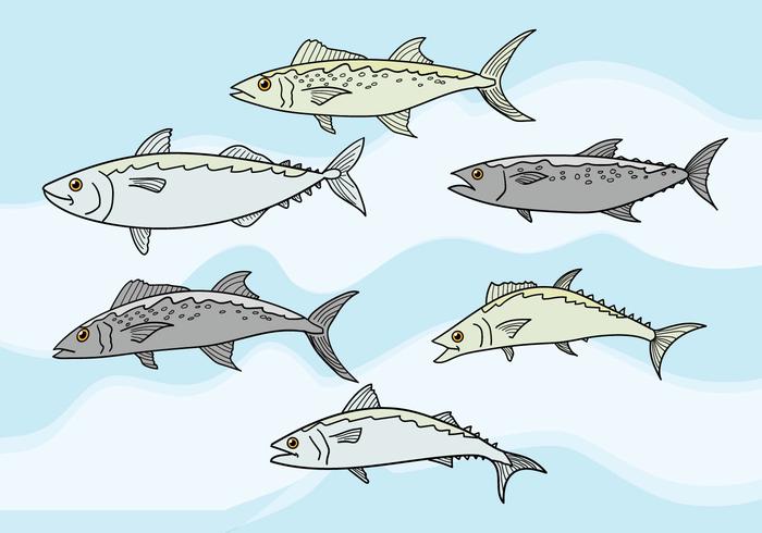 Mackerel Vector