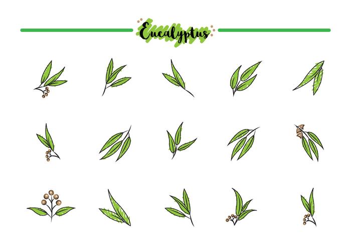 Free Eucalyptus Icons vector