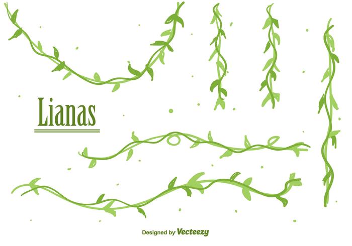 Free Lianas Vector 