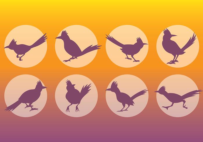 Free Roadrunner Icons Vector Free Roadrunner Icons Vector