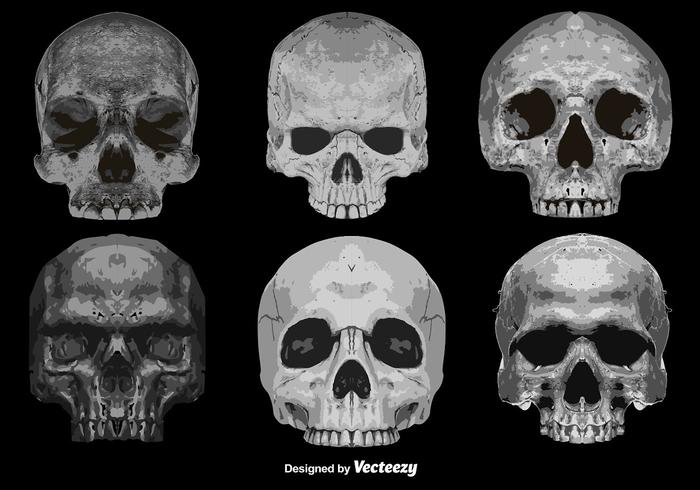 Vector Conjunto de 6 cráneos abstractos Iconos detallados