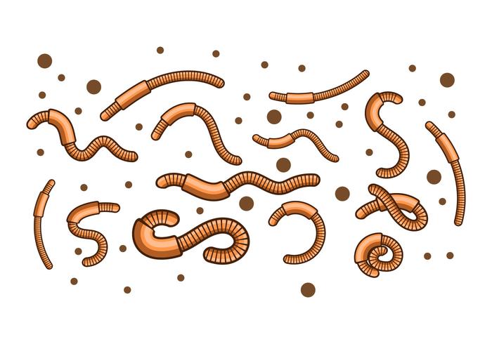 Ilustración vectorial de gusano de tierra libre vector