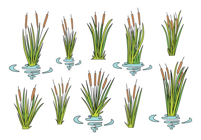 Iconos gratis de Cattails vector