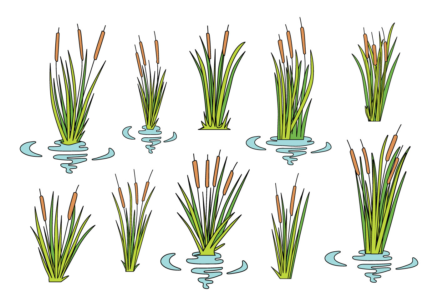 Cattails | Become a Cat! - Download cattails download free