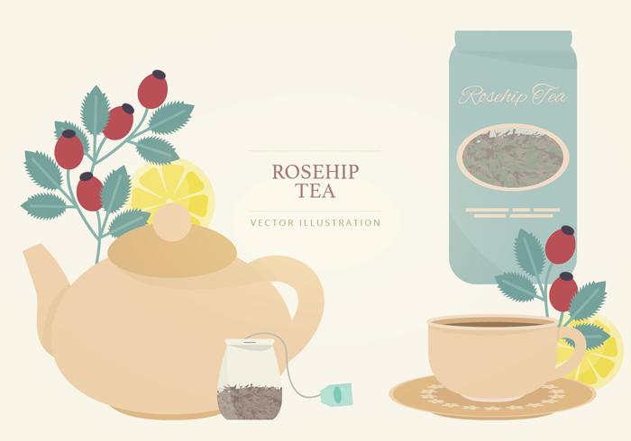 Rosehip Tea Vector Illustration