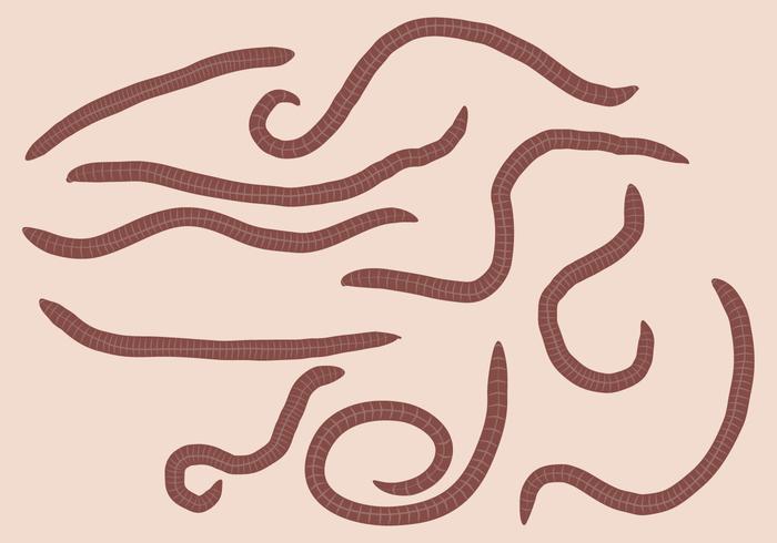 Earth Worm Set Vector