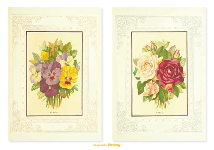 Pansy Vintage Flower Illustrations Pansy Vintage Flower Illustrations