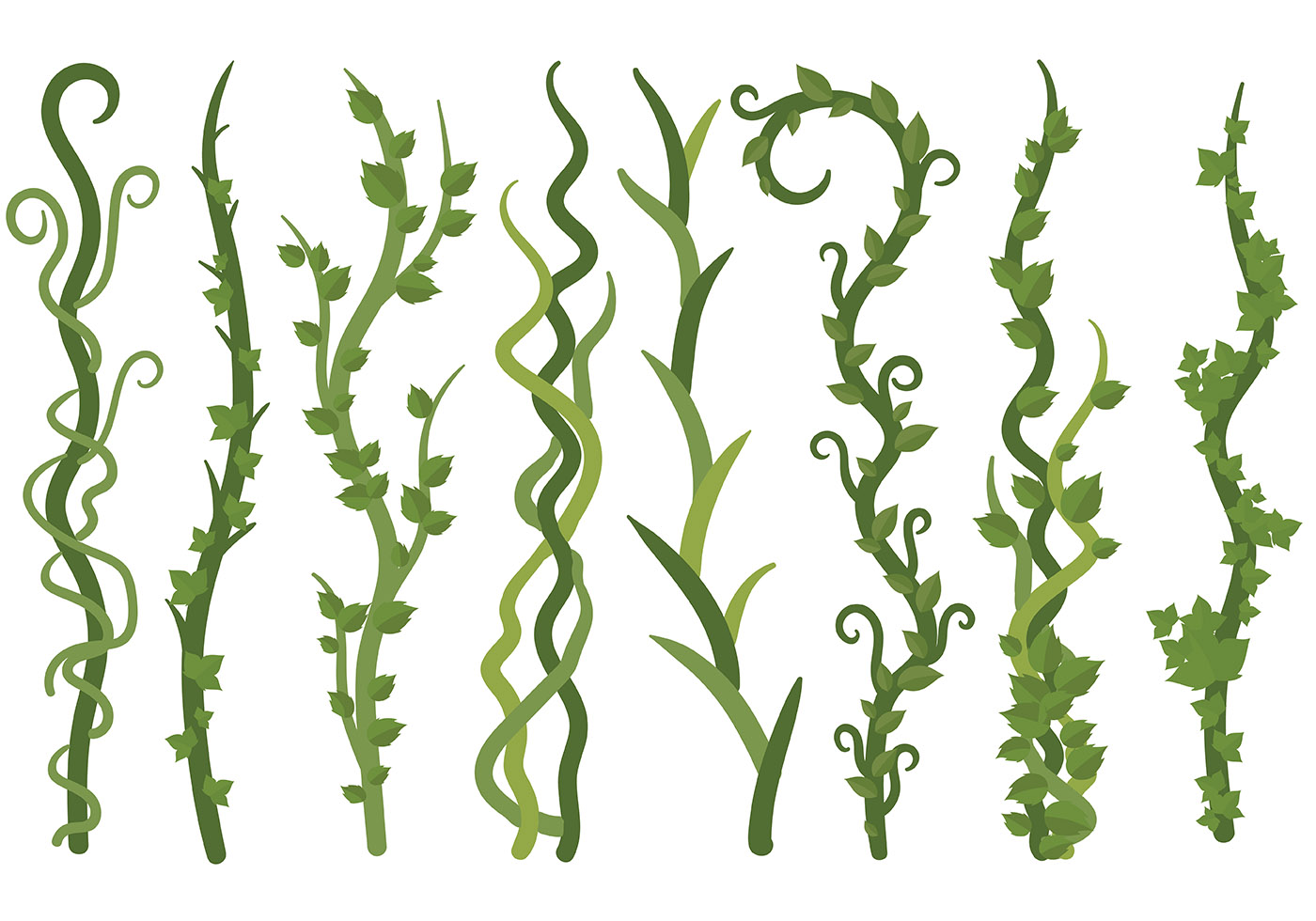 цветы на длинном стебле. стебель цветка. длинный стебелек. стебель цветочка. зеленый стебель.