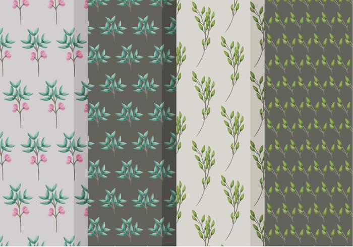 Beautiful Branch Vector Patterns Beautiful Branch Vector Patterns