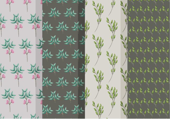 Beautiful Branch Vector Patterns