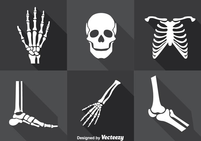 Conjunto de vector de esqueleto humano